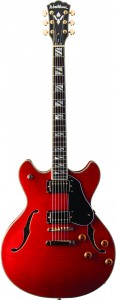 Washburn Hollowbody